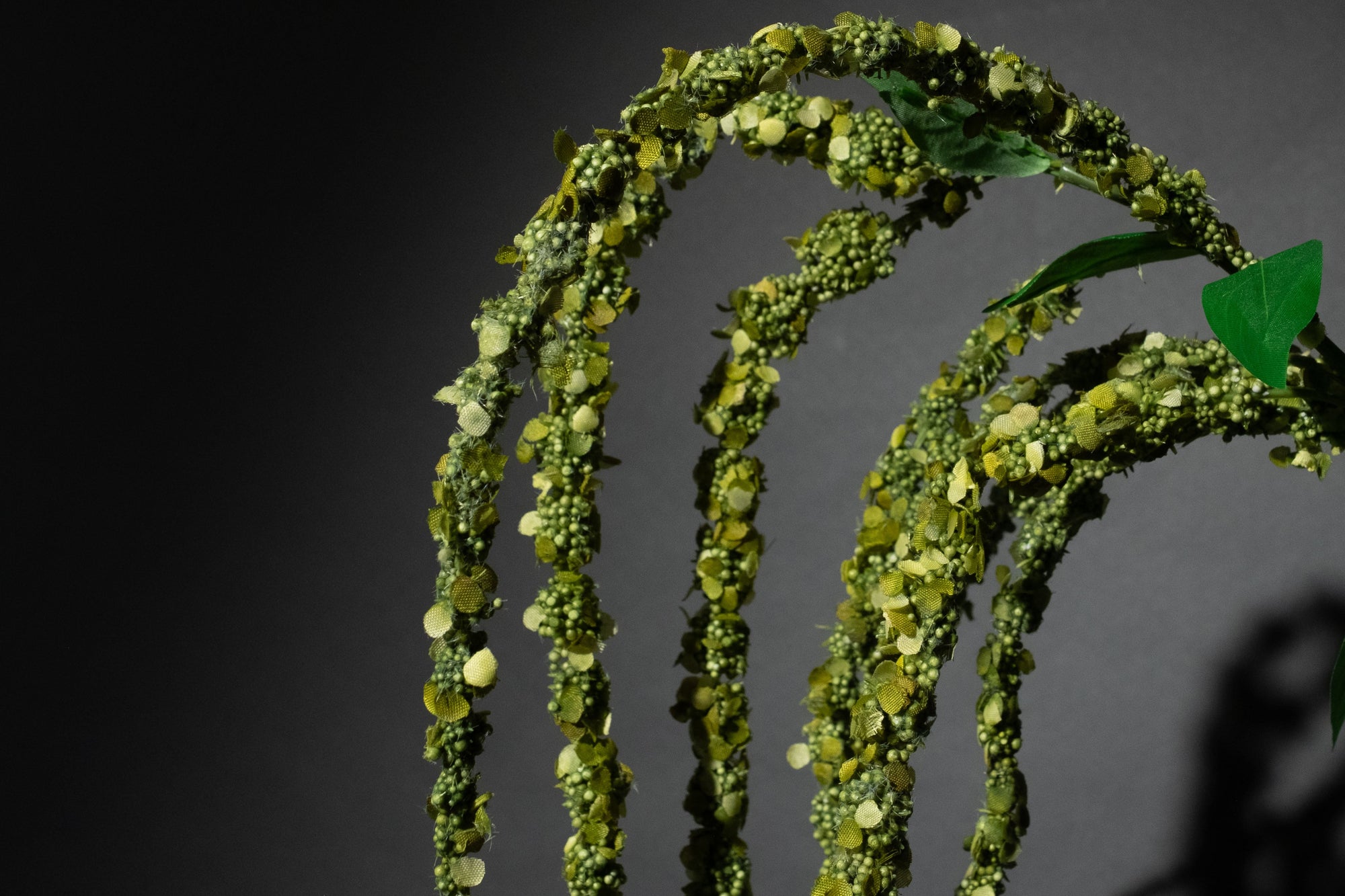 Grüne Amaranthus Blume